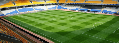 Supporter info: Istanbul Basaksehir (A)
