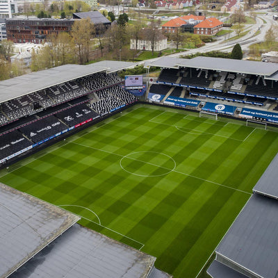 Supporter Information: Rosenborg (A)