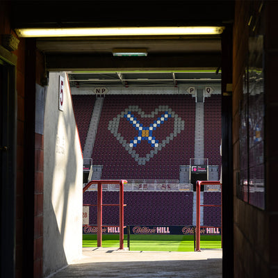 Supporter Information: Motherwell (H)