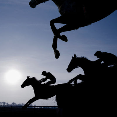 All the fun of the races at Tynecastle