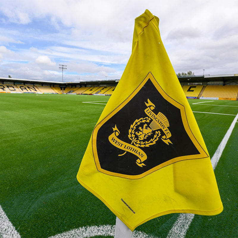 Supporter Information: Livingston (A)